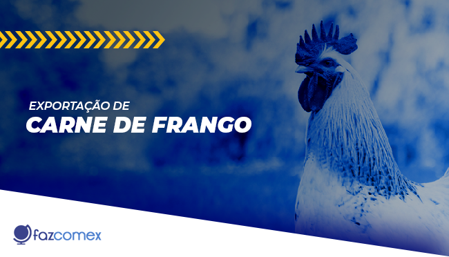 TIPOS DE CARNE DE FRANGO