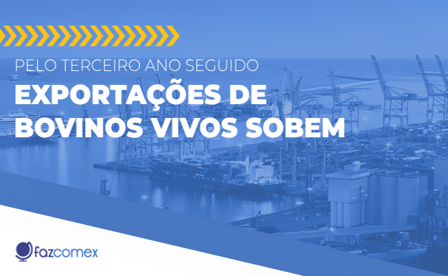 exportações de bovinos