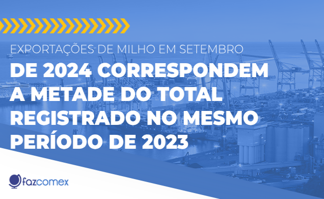 Queda nas exportações de milho na primeira metade de 2024, entenda mais sobre