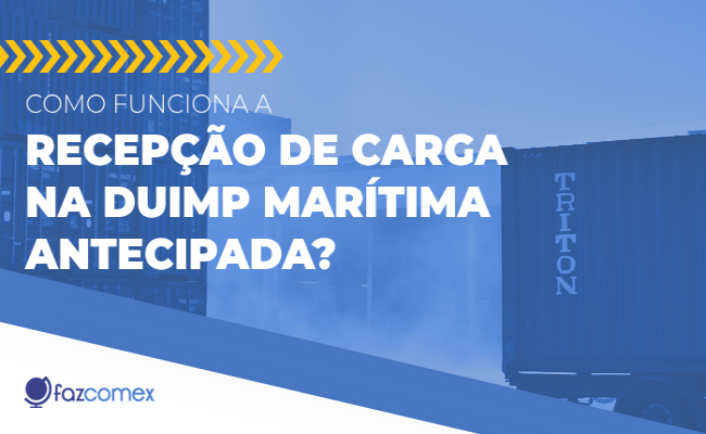 Recepção carga DUIMP Marítima Antecipada