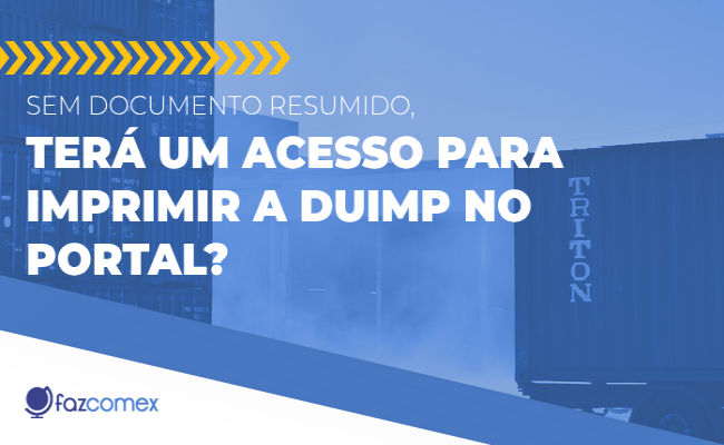 Documento resumido imprimir DUIMP no portal