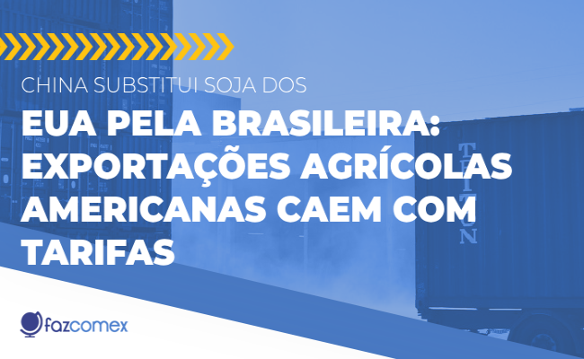 China aumenta negócios envolvendo a exportação de soja brasileira, EUA diminui