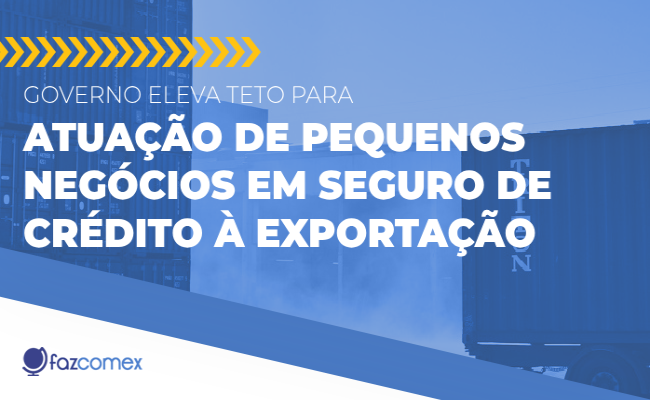Entenda o teto para atuação de pequenos negócios em seguro de crédito à exportação
