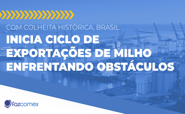 Com colheita histórica, Brasil inicia ciclo de exportações de milho enfrentando obstáculos.