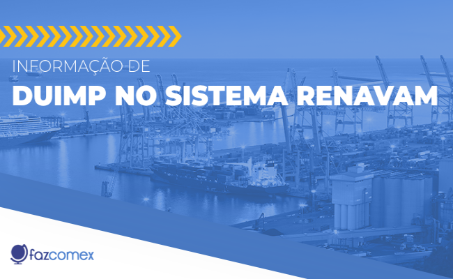 Entenda mais sobre a informação de Duimp no sistema RENAVAM
