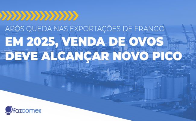 Queda nas exportações de frango em 2025 e aumento na venda de ovos. Saiba mais sobre