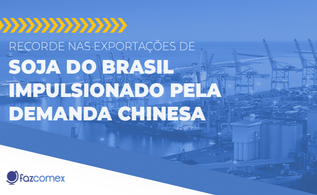 Recorde nas exportações de soja do Brasil impulsionado pela demanda chinesa: entenda
