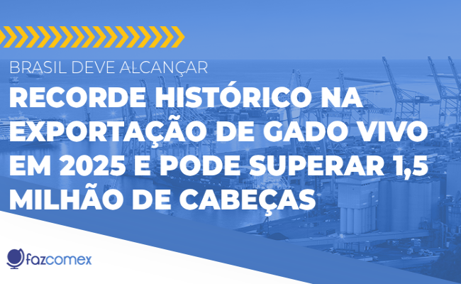 Saiba mais sobre a exportação de gado vivo, que irá bater recorde no Brasil