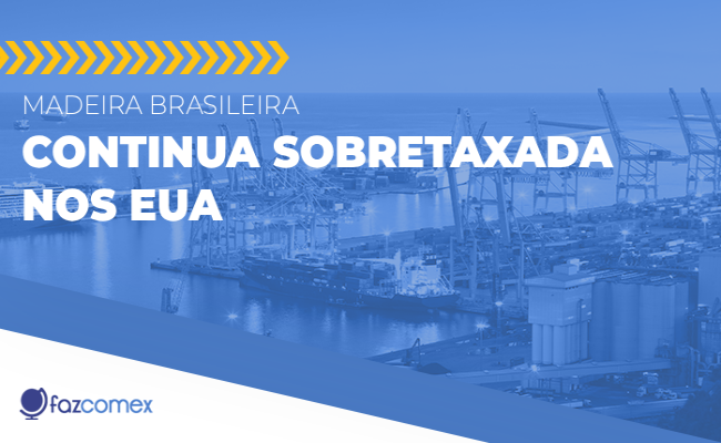 Madeira brasileira continua sobretaxada nos EUA. Veja os impactos dentro do comex