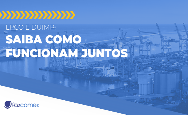 LPCO e DUIMP, veja como funcionam juntos e os impactos dentro do NPI