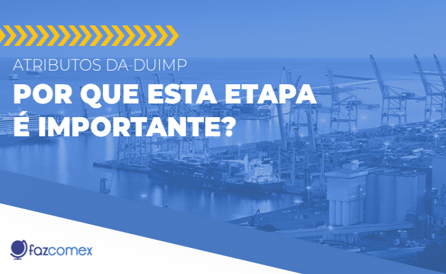 Atributos da DUIMP. Veja porque esta etapa é importante dentro do NPI